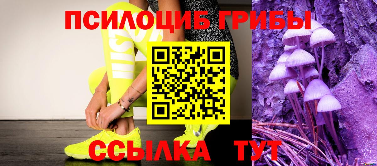 Галлюциногенные грибы Psilocybe Тутаев