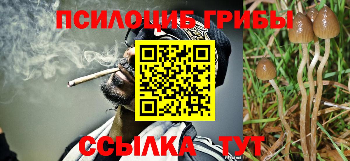Галлюциногенные грибы GOLDEN TEACHER  Псилоцибиновые грибы мухоморы  Тутаев  где купить наркоту  Вход с VPN 